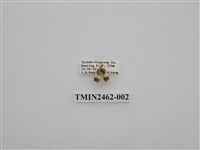 藏品(大斑苔蛾)的圖片